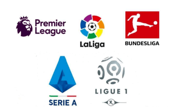 它对莱加内 它对莱加内