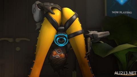 求不仅是护 求不仅是护